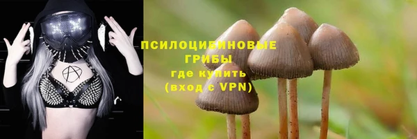 таблы Алексеевка