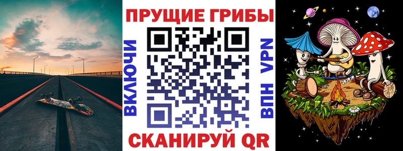 Галлюциногенные грибы Psilocybe  Котельники 